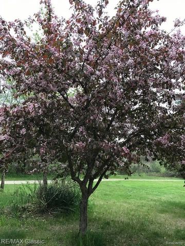 9800 Moon Road, Saline, MI 48176