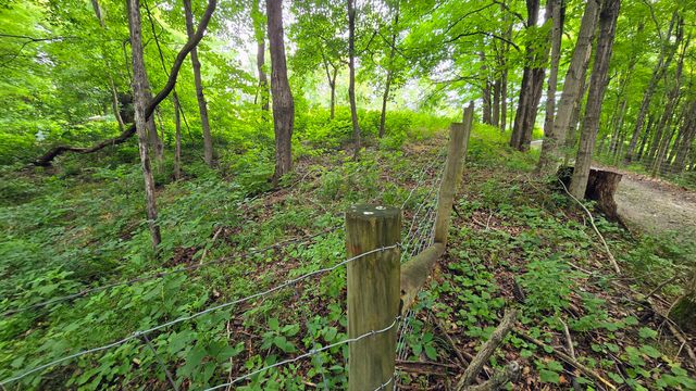9477 Beech Grove Road, Burlington, KY 41005