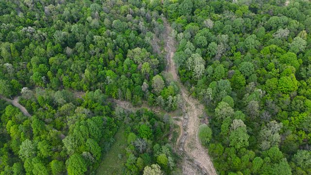 9477 Beech Grove Road, Burlington, KY 41005