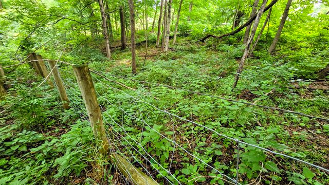 9477 Beech Grove Road, Burlington, KY 41005