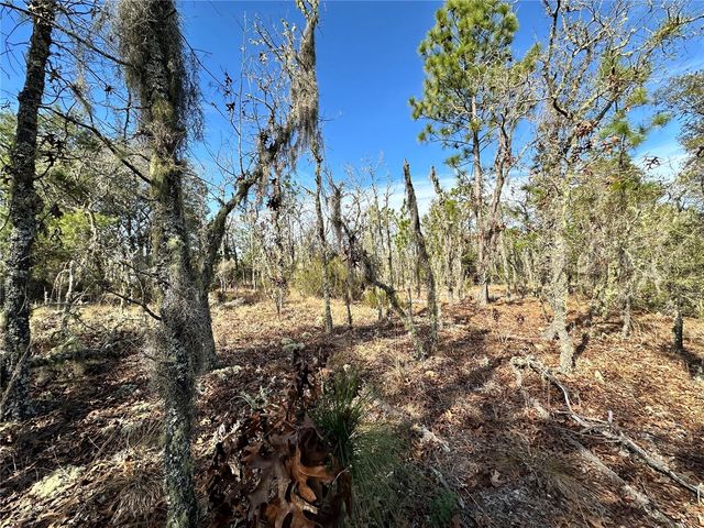 TBD NE 16TH LANE, Williston, FL 32696