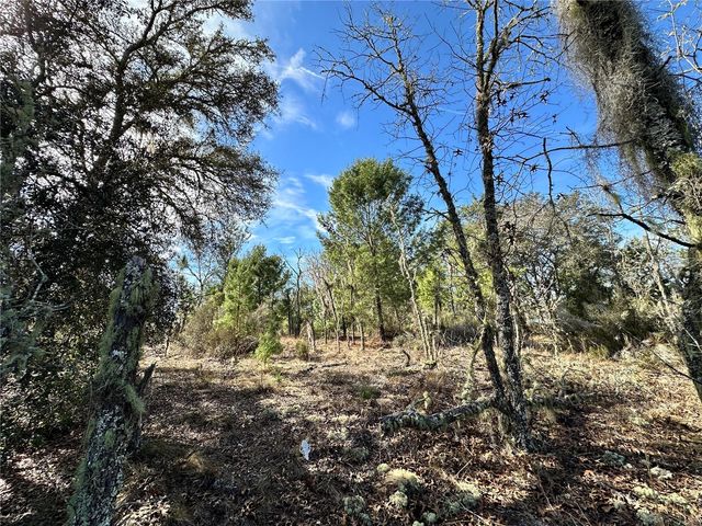 TBD NE 16TH LANE, Williston, FL 32696