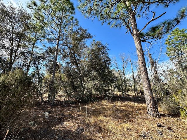 TBD NE 16TH LANE, Williston, FL 32696