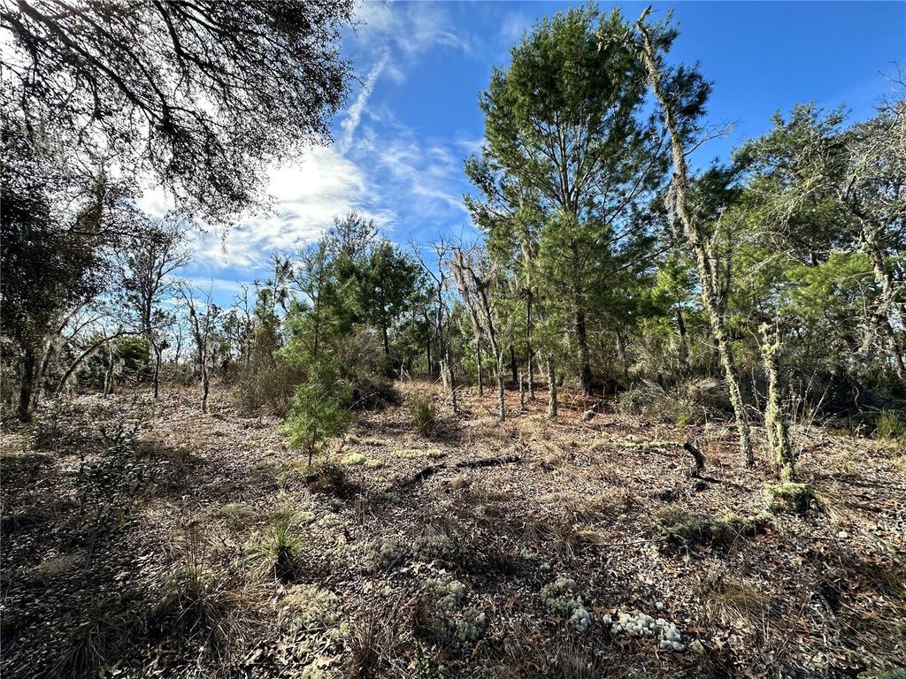 TBD NE 16TH LANE, Williston, FL 32696