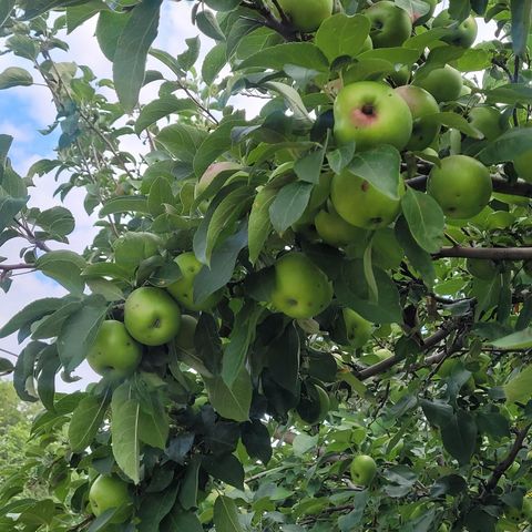 5424 51st Avenue N, Crystal, MN 55429