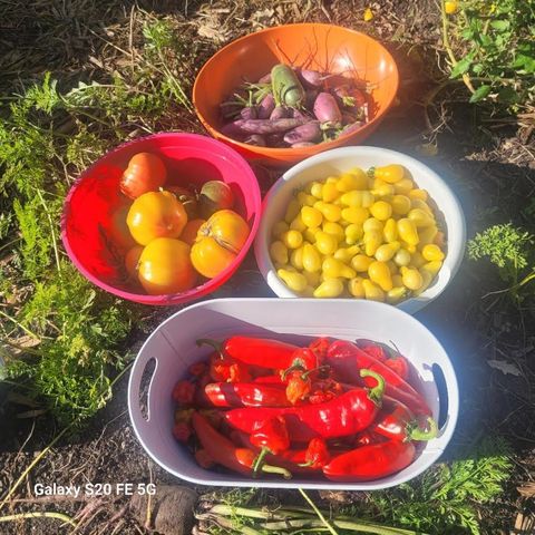 5424 51st Avenue N, Crystal, MN 55429