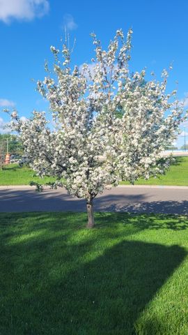 5424 51st Avenue N, Crystal, MN 55429