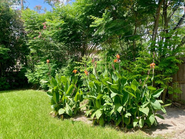 3118 Castlewood Street, Houston, TX 77025