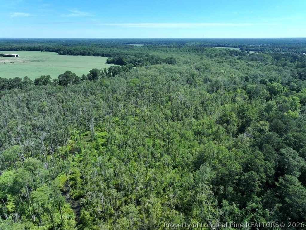 Yarborough Road, Parkton, NC 28371 — photo 5