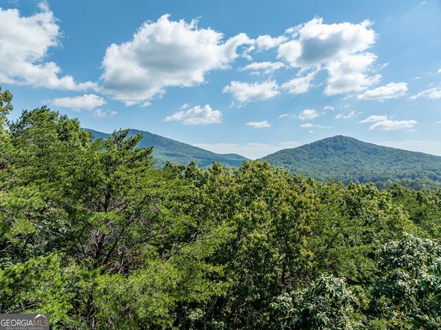 1205 Coachwhip Court, Jasper, GA 30143