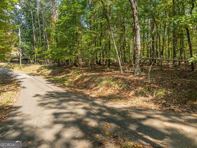 1205 Coachwhip Court, Jasper, GA 30143