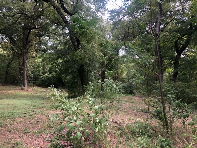 2024 Blue Ridge Drive, Cedar Hill, TX 75104