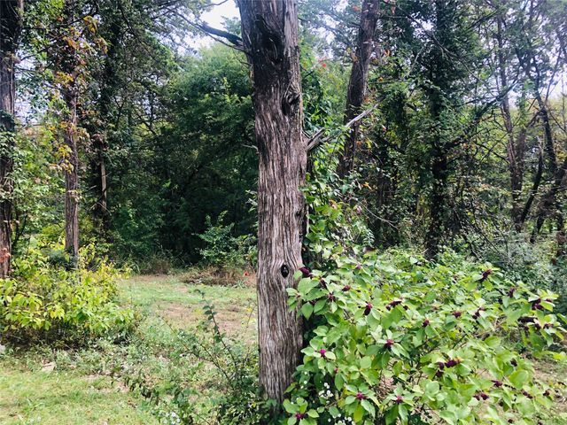 2024 Blue Ridge Drive, Cedar Hill, TX 75104