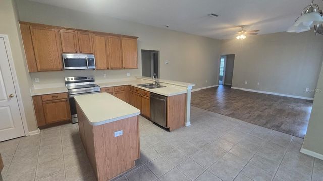 25837 RISEN STAR DRIVE, Wesley Chapel, FL 33544