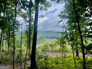 0 White Oak Road, Summerville, GA 30747