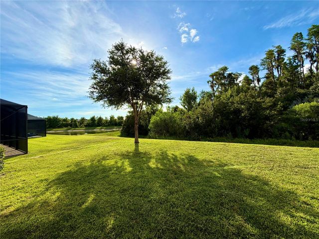 19522 WHISPERING BROOK DRIVE, Tampa, FL 33647