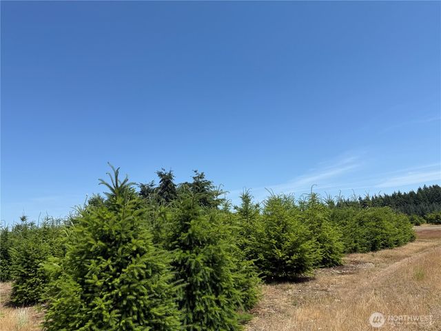 101 SE Dusty Lane, Shelton, WA 98584