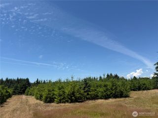 101 SE Dusty Lane, Shelton, WA 98584