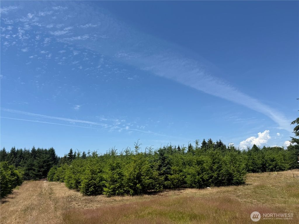 101 SE Dusty Lane, Shelton, WA 98584