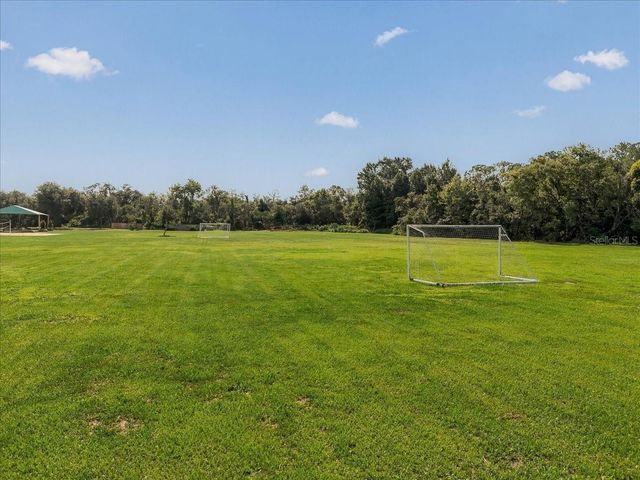 2929 FOREST HAMMOCK DRIVE, Plant City, FL 33566