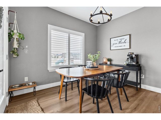 623 Vermilion Peak Dr, Windsor, CO 80550