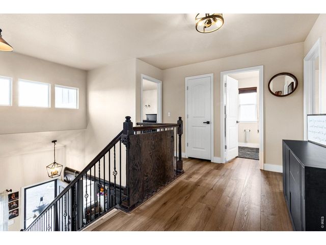 623 Vermilion Peak Dr, Windsor, CO 80550