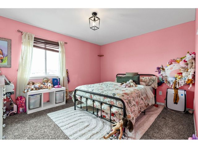 623 Vermilion Peak Dr, Windsor, CO 80550