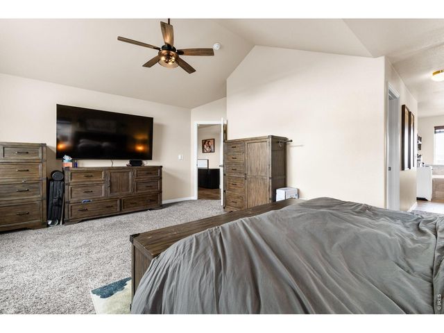 623 Vermilion Peak Dr, Windsor, CO 80550