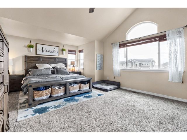 623 Vermilion Peak Dr, Windsor, CO 80550