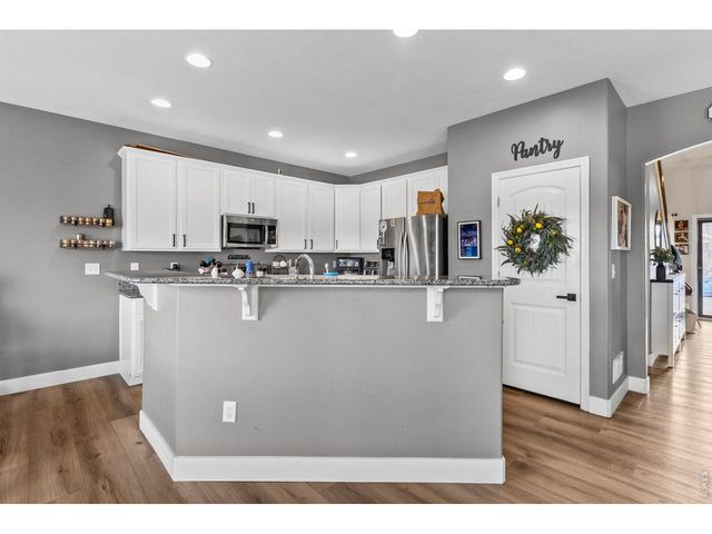 623 Vermilion Peak Dr, Windsor, CO 80550