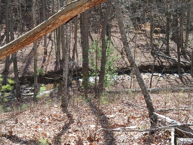 Lot 337 Timber Creek Trail, Talking Rock, GA 30175