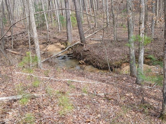 Lot 337 Timber Creek Trail, Talking Rock, GA 30175