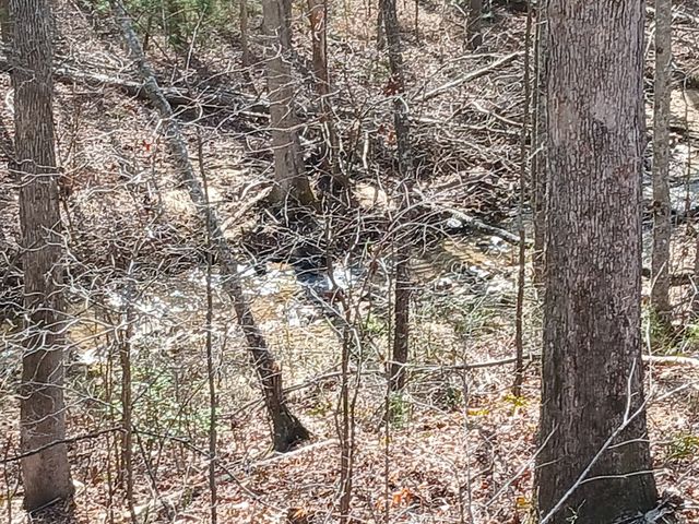 Lot 337 Timber Creek Trail, Talking Rock, GA 30175