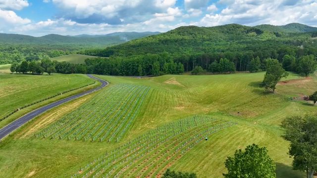 Lot 337 Timber Creek Trail, Talking Rock, GA 30175