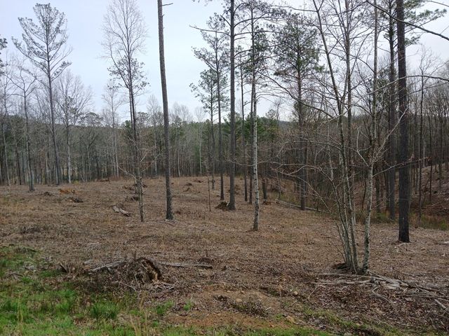 Lot 337 Timber Creek Trail, Talking Rock, GA 30175