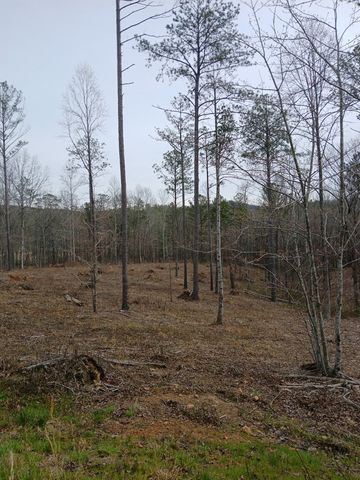 Lot 337 Timber Creek Trail, Talking Rock, GA 30175