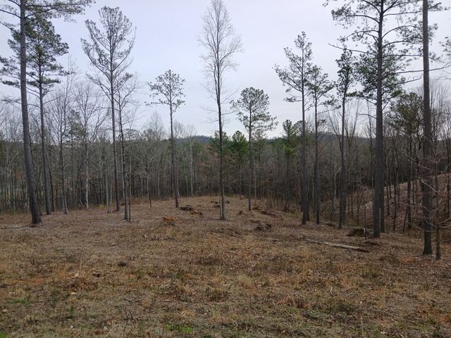 Lot 337 Timber Creek Trail, Talking Rock, GA 30175