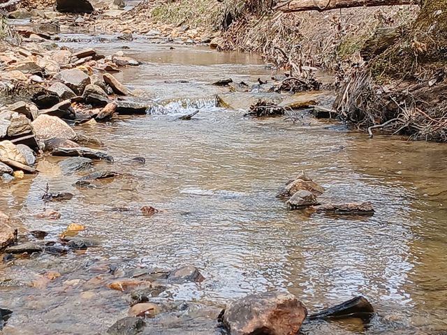 Lot 337 Timber Creek Trail, Talking Rock, GA 30175