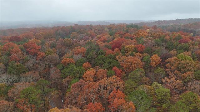 Lot 10 Olivia Lane, Ball Ground, GA 30107