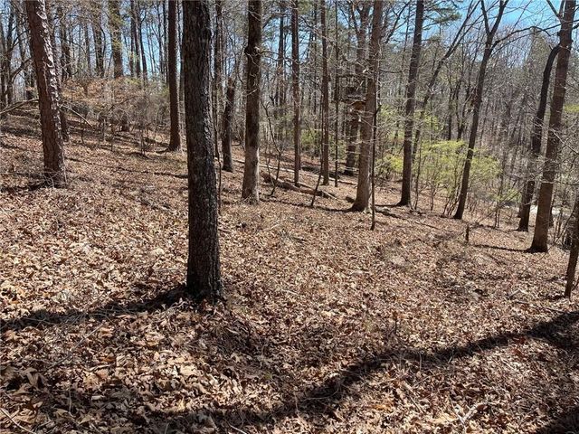Lot 10 Olivia Lane, Ball Ground, GA 30107