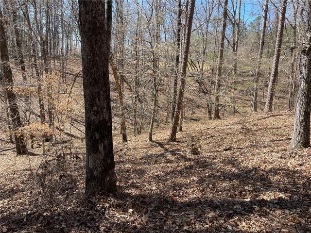 Lot 10 Olivia Lane, Ball Ground, GA 30107