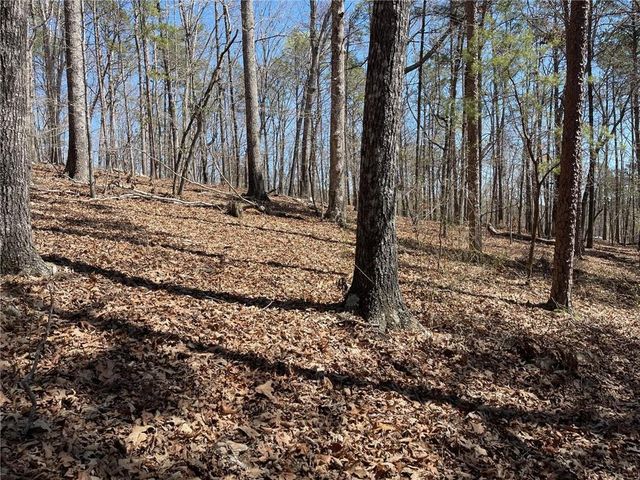 Lot 10 Olivia Lane, Ball Ground, GA 30107