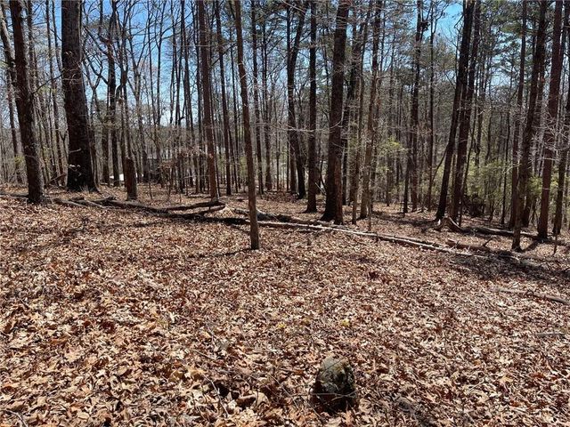 Lot 10 Olivia Lane, Ball Ground, GA 30107