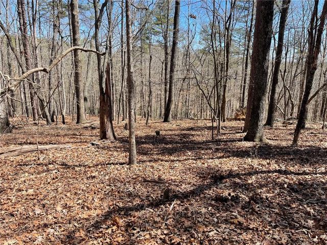 Lot 10 Olivia Lane, Ball Ground, GA 30107
