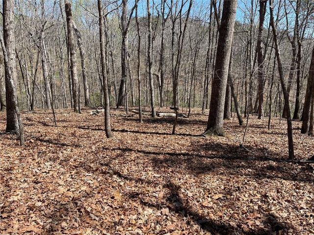 Lot 10 Olivia Lane, Ball Ground, GA 30107