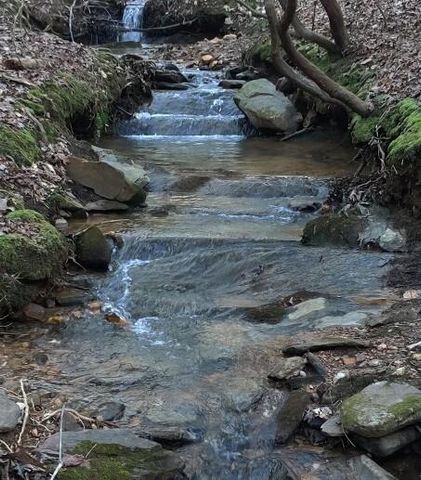 Lot 10 Olivia Lane, Ball Ground, GA 30107