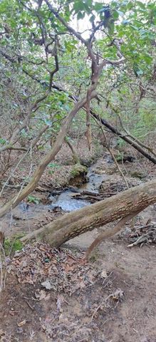 Lot 10 Olivia Lane, Ball Ground, GA 30107