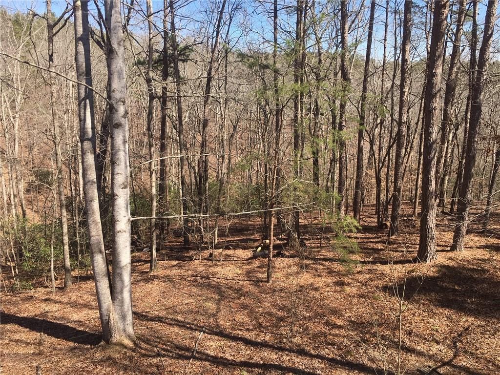 Lot 10 Olivia Lane, Ball Ground, GA 30107
