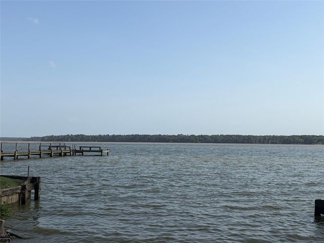 141 Mud Cat Drive, Trinity, TX 75862