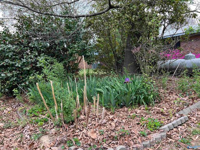 33 Sand Mountain Drive, Rainsville, AL 35986